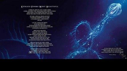 Lyrics : Nightwish - Endless Forms Most Beautiful (2015) album : Endless Forms Most Beautiful #7