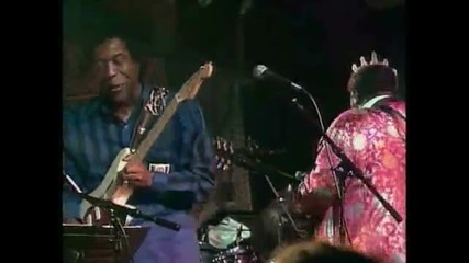 B.b. King Buddy Guy - I Can't Quit You Baby