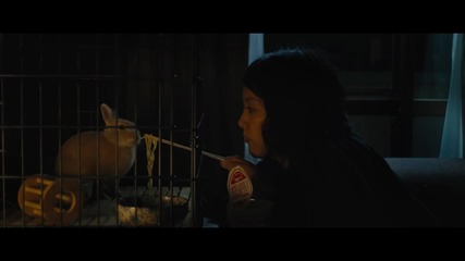 Kumiko, the Treasure Hunter *2015* Teaser Trailer