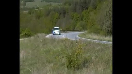 Рали Тоянови врата 2011