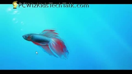 Windows 7 