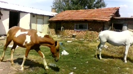 kone