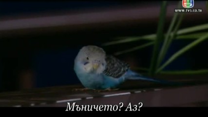 Angel Magic E05