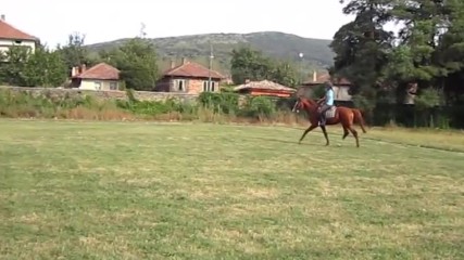 Billy D - First Steps in Riding (15 times mounted)