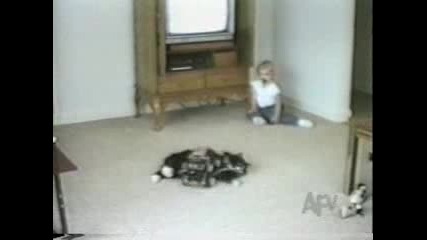 Why Everyone Needs A Pet