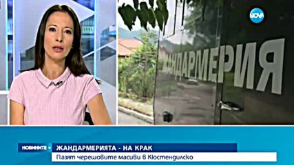 Жандармерия пази черешите в Кюстендилско