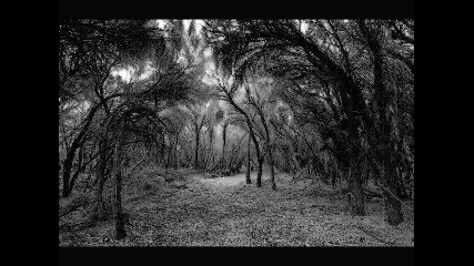 Empyrium - Der Weiher