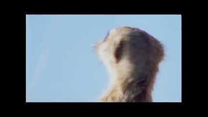 Pepsi Max's 2010 Football Advert Ft Akon's 'oh Africa' (feature Length)