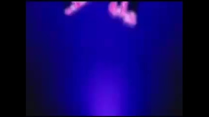 Wwe - Hardy Boyz Forever