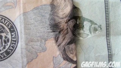 Hidden images on money 