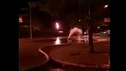 Stupid Driver