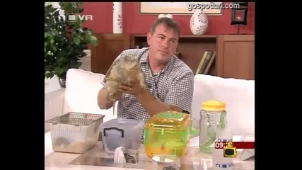 Истории с животни