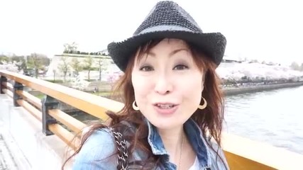 Japan Travel