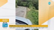 Жертва на безобразен път: Полиция наказва пострадала шофьорка.