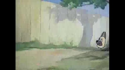 Tom & Jerry - Puttin on the dog