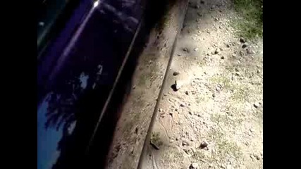 Bass v Honda Civic