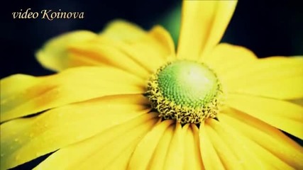 Piano music