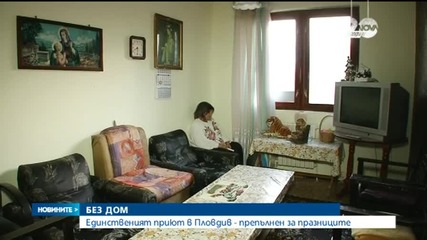 Бездомните в Пловдив прекараха празниците на улицата заради препълнен приют