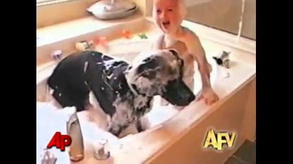 100000000% смешни кучета