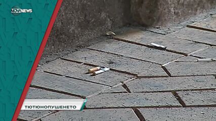 В "Социална мрежа" на 21 ноември ще видите