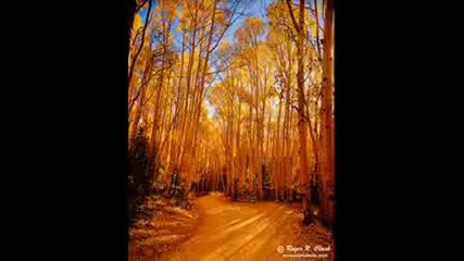 Richard Clayderman - The Sound Of Silence