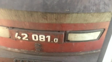 42081