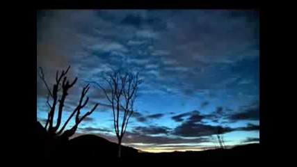 Scott Davis - The Unforgiven
