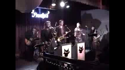 Love Dont Love Nobody - THE FLAT CATS