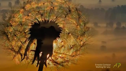 Ernesto Cortazar - Waiting for you