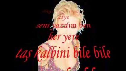 73117653.flv
