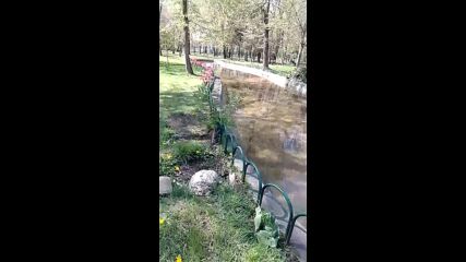 Vid_20230415_144835.mp4
