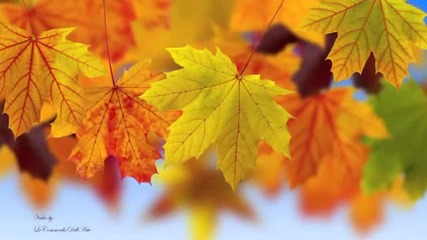 Somebody Up There Likes Me - Perry Como