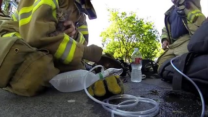 Пожарникар спасява коте!