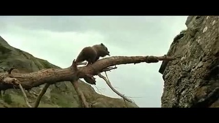 The cougar scene 