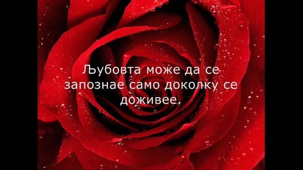 Misli za ljubovta 