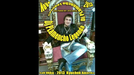 N O V O Sali Okka - 2013 Kyuchek Amerika New Hit Dj Plamencho