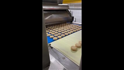 Машина за производство на бисквити / Biscuit Making Machine