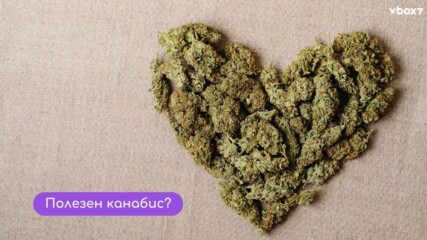 Ново проучване разкрива изненадващо влияние на канабисът върху тялото ви!😯💥