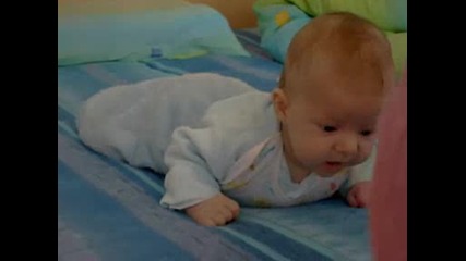 27.03.2009.avi