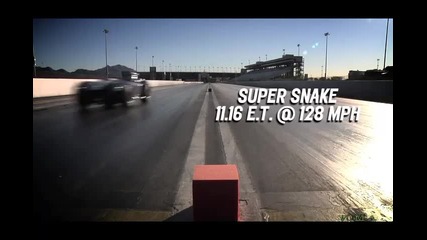 2011 Super Snake vs 427 Cobra