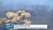 Дъжд и висока влажност ограничиха големия пожар, бушуващ в резерват в Белгия