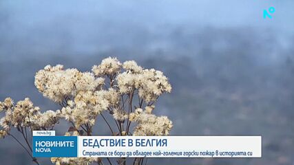 Дъжд и висока влажност ограничиха големия пожар, бушуващ в резерват в Белгия
