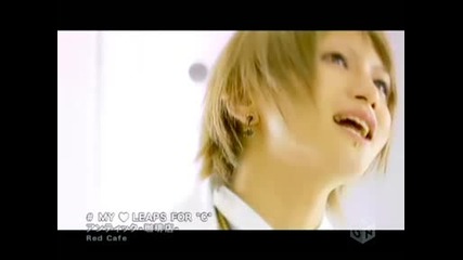 Ancafe - My Heart Leaps For C