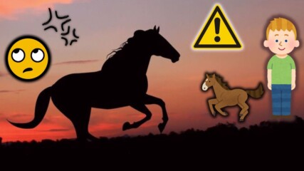 София ми е Дивият Запад: Дете яхна кон на столичен булевард 🐴🏇