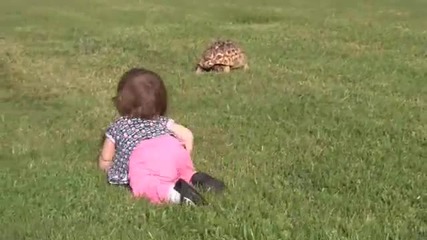 Приятелство между малко момиченце и костенурка