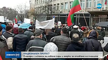 Пчеларите излязоха на национален протест