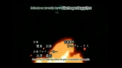 Bleach opening 11