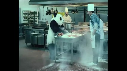 Никога не казвайте не на панда ! 3