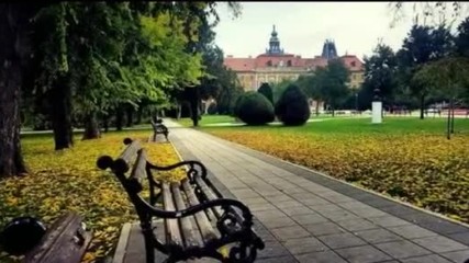 Bye Autumn