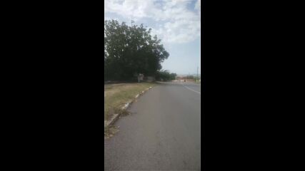 Vid_20230817_103817.mp4